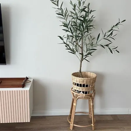 Kuestenbude Moewennest * Grömitz